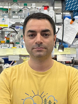 Najar, Tariq, Ph.D.